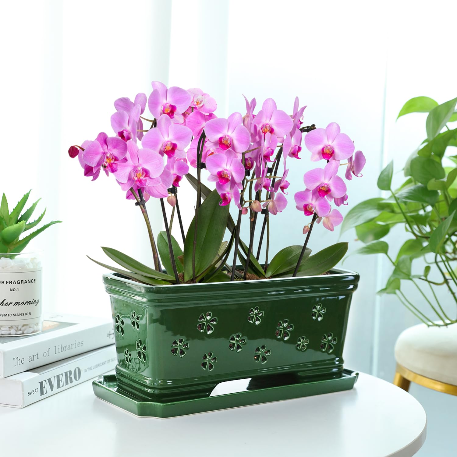 Grüner Keramik-Orchideentopf mit Löchern zum Umtopfen und Belüften, für drinnen und draußen, 30,5 cm