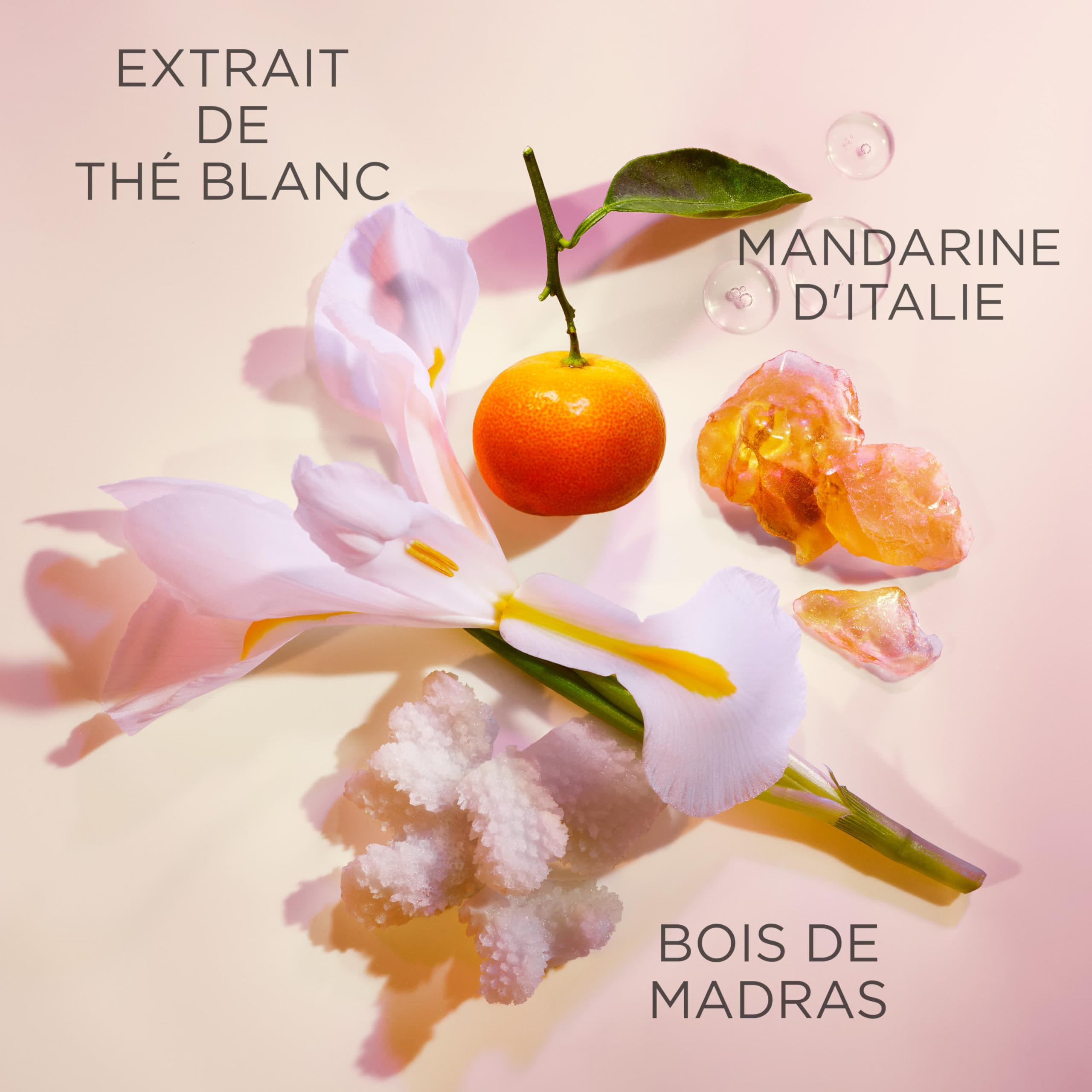 Elizabeth Arden, White Tea Eau de toilette pour Femme, Senteur Florale et Fraîche, Spray Vaporisateur, Parfum pur, délicieusement simple et raffiné