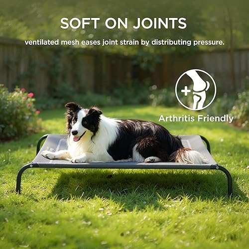 Miniatura 5 de Cuna elevada para mascotas con ventilación de malla, 8 pulgadas de altura, gris, cama para perros al aire libre