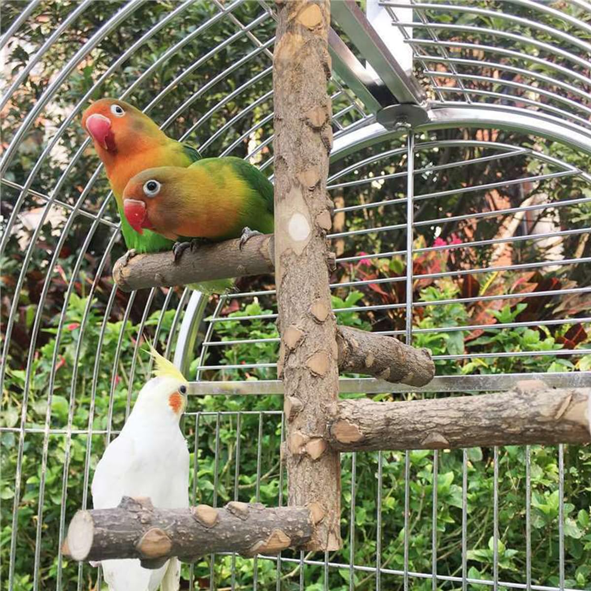 Stojak z naturalnego drewna, klatka dla papug, drewniane gałęzie stojące zabawki dla małych średnich papug Conure Budgie Lovebirds
