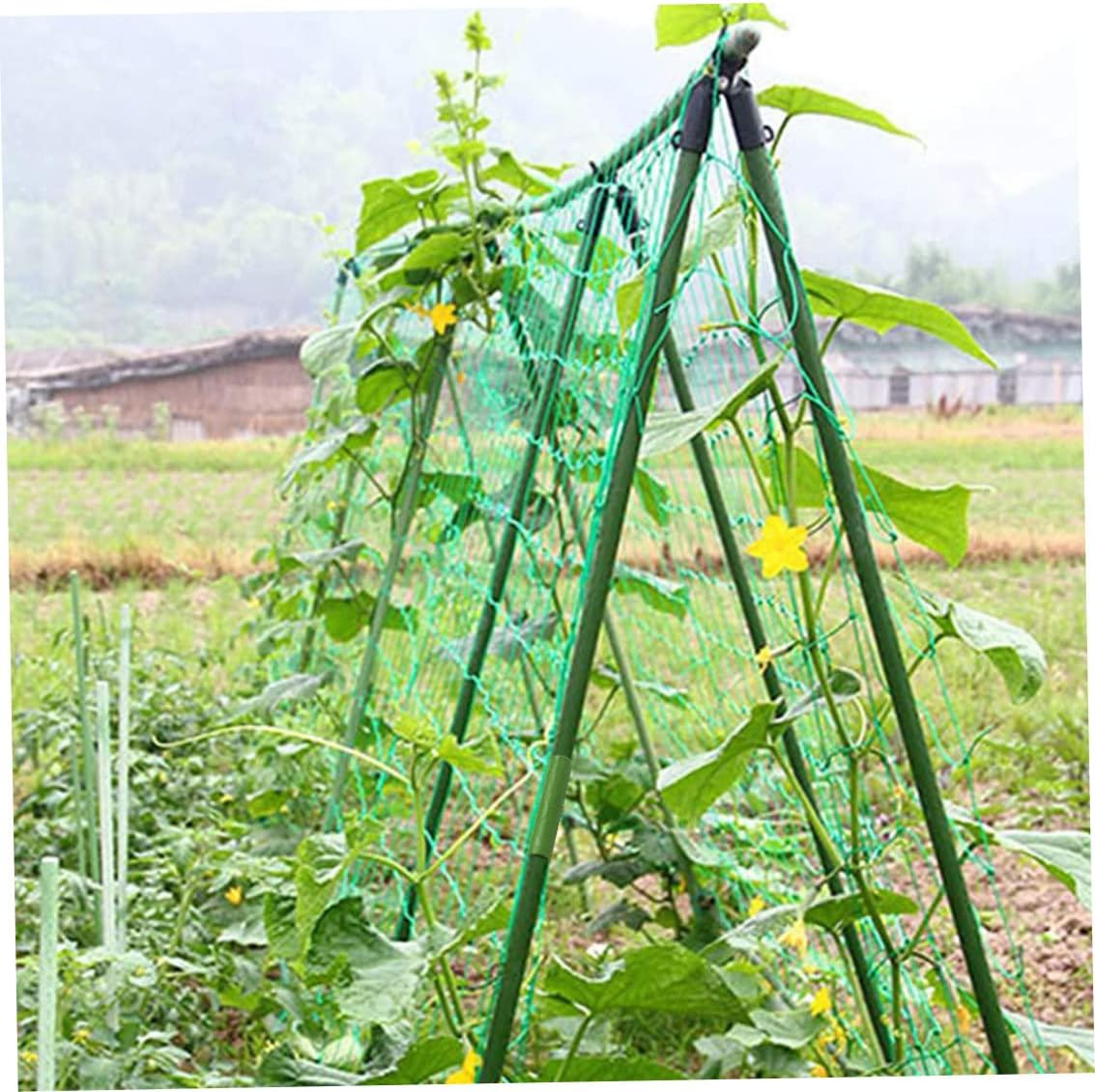 Eioflia 20PCS Garden Stake Connecting Pipes Gardening Pillar Connectors Plant Support Stakes Connectors-Garden Plant Stake Connector 20mm Greenhouse Climbing Rattan Straight Tube Pipe Parts : Patio, Lawn & Garden