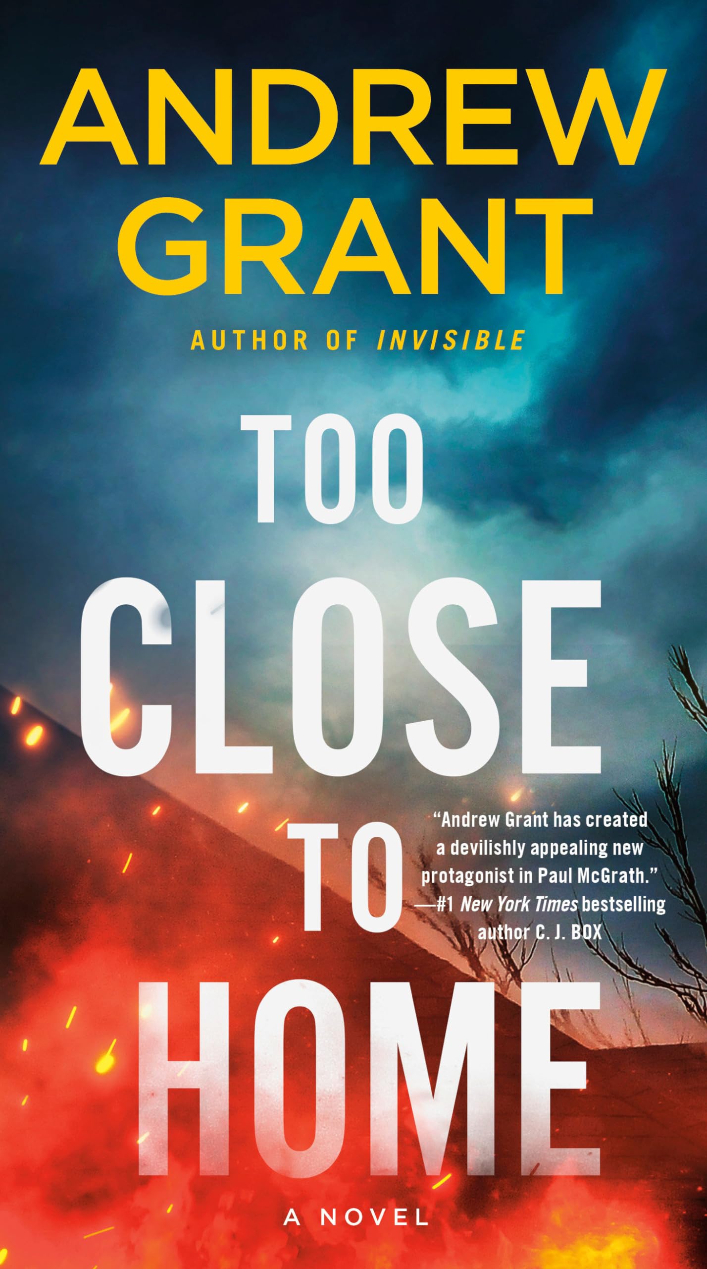 Too Close to Home: A Novel: 2 (Paul McGrath)