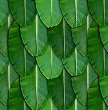 vinayaka mart Bananaa Leaves Backdrops Cloth, Banana Leaf Backdrops Size: (5 X 8) Ft, | Backdrop Cloth for Decoration Pooja | Ganesh chaturthi Decorations | vinayaka chavithi Pooja Decorations