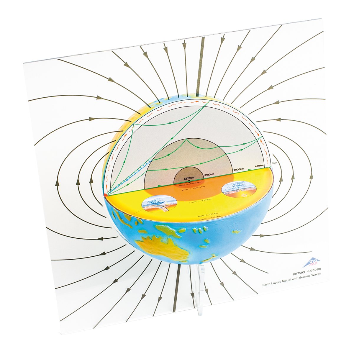 3B Scientific U70010 Modelo de las Capas de la Tierra con Ondas Sísmicas