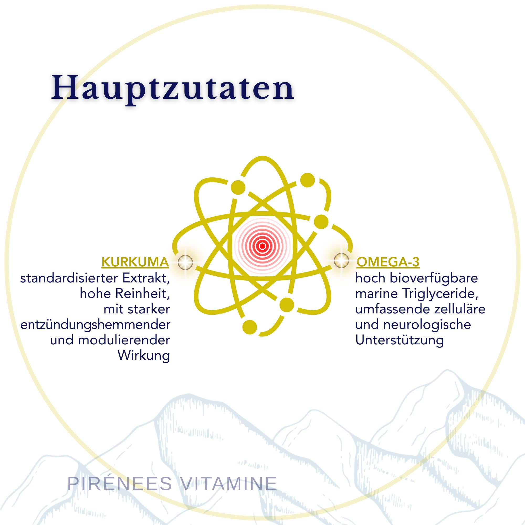 Omega 3 TG Ultra, Kurkuma mit Ingwer und schwarzem Pfeffer - SmartAbsorb™ | für Gehirnfunktion, Nervensystem und Gelenkmobilität | 56 Tagessticks
