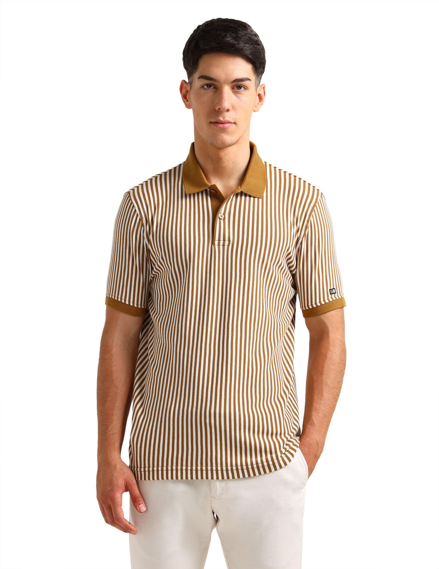 arrow sports Arrow Sport Men's Vertical Striped Regular Fit Polo Shirt-picture-43