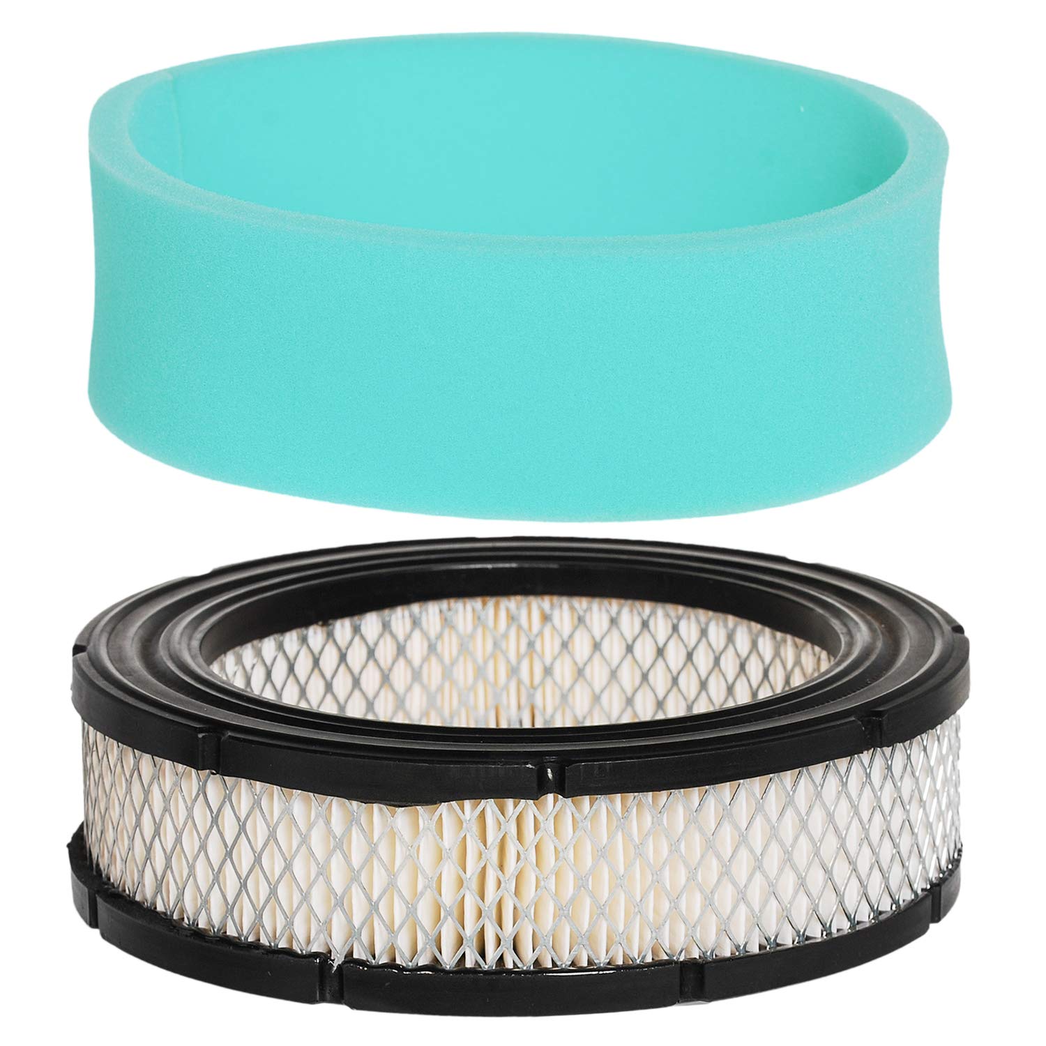 Kit Di Manutenzione Filtro Aria Per Motori Vanguard V-Twin – Include Filtro Aria, Preolio, Olio, Carburante, 2 Candele E 4 Fascette