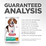 Hill's Science Diet Adult Perfect Weight Small Bites Chicken Recipe Dry Dog Food, 1.81 kg Bag