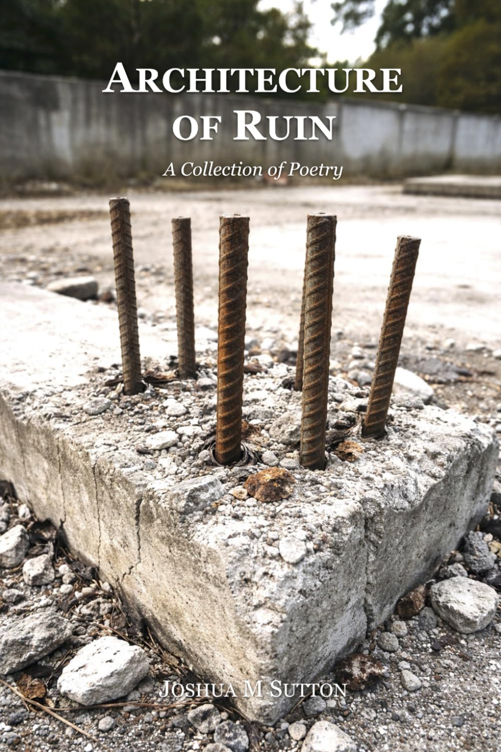Architecture of Ruin: A Collection of Poetry (The Aftermath Sequence)