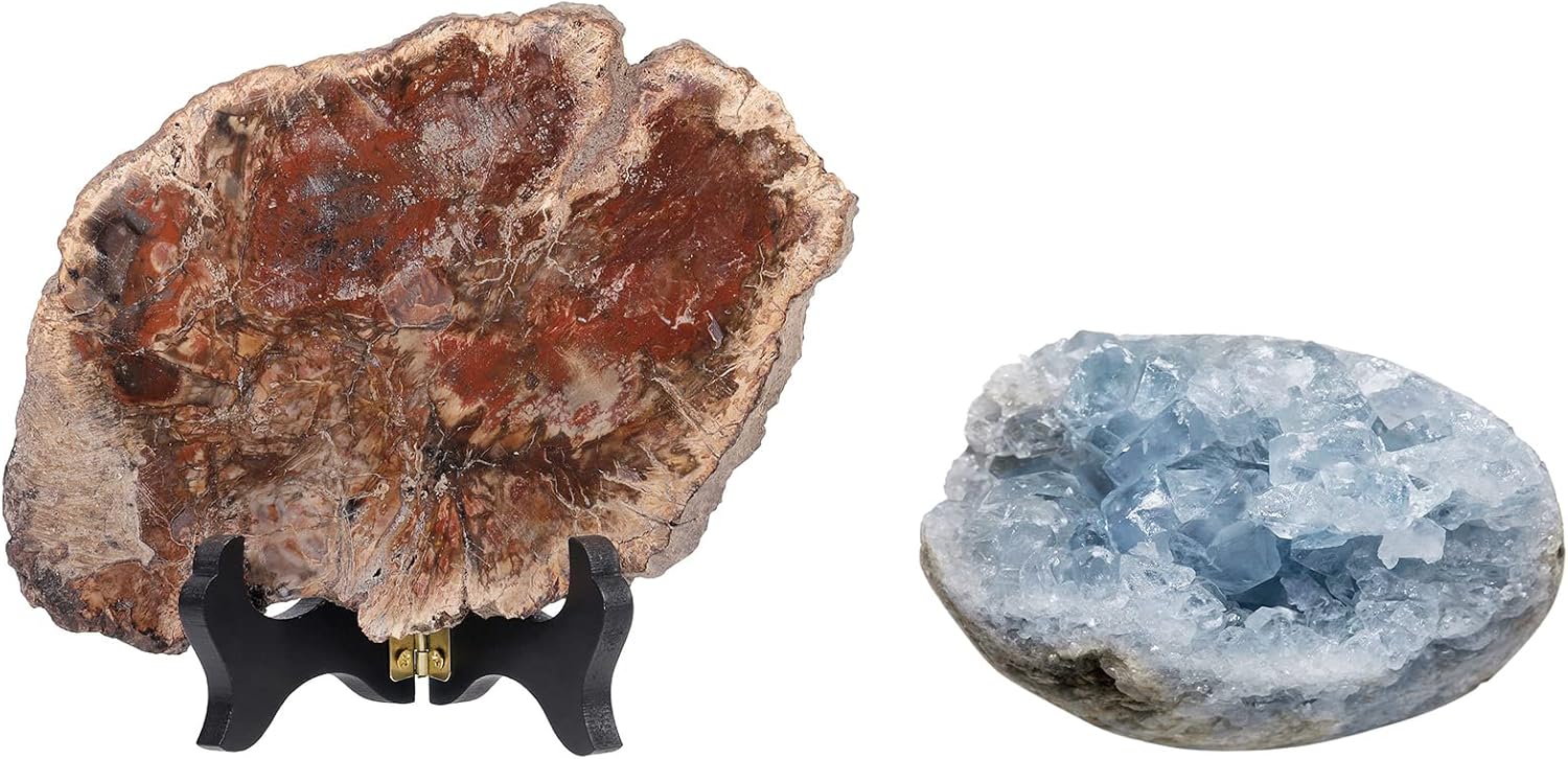 mookaitedecor Bundle - 2 Items: Natural Celestite Mineral Crystal Geode Cluster Specimen Stone & Natural Petrified Wood Slab Specimen with Wooden Stand for Home Decor