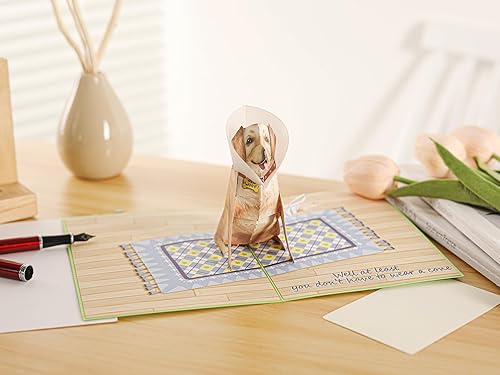 Miniatura 2 de Liif Tarjeta de felicitación 3D emergente de recuperación, tarjeta de recuperación pronto (perro de conejo)