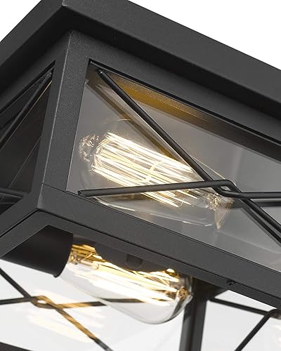 Miniatura 2 de Emliviar, lámpara de techo para interiores y exteriores, 0387B-CL