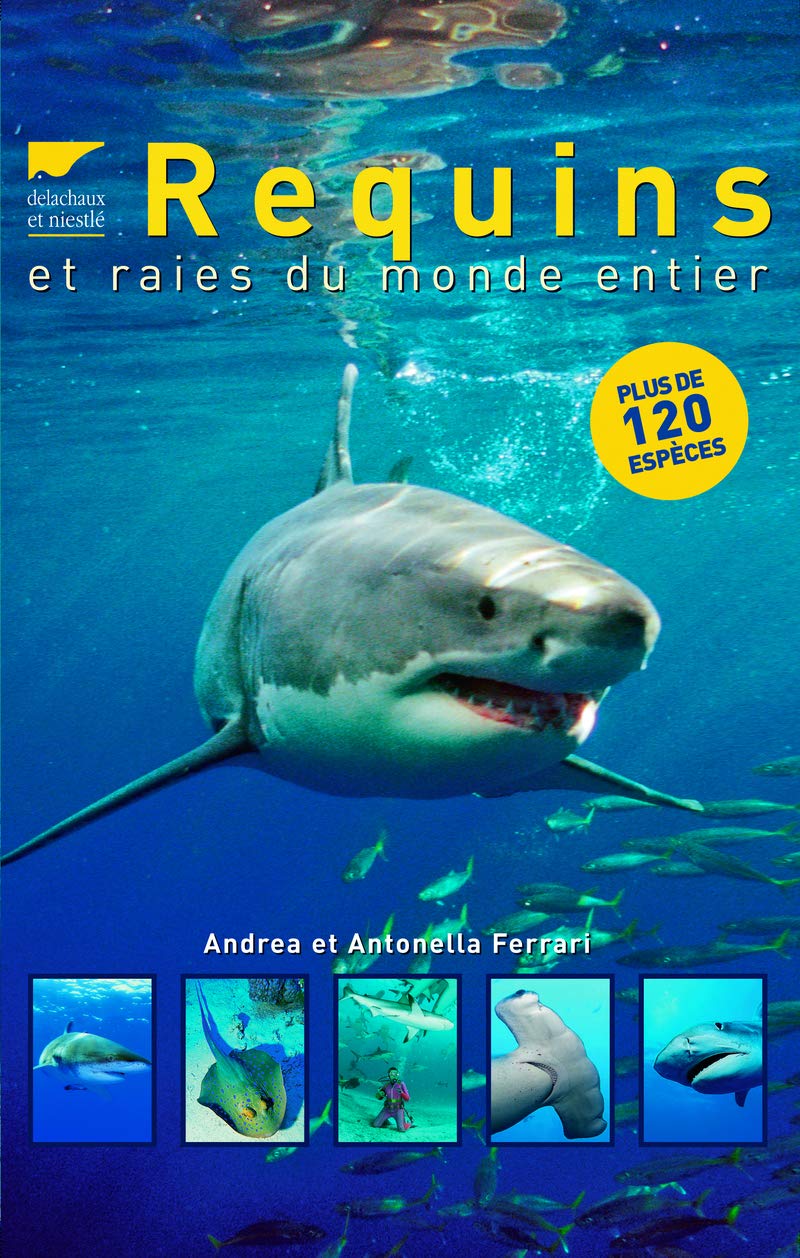 Requins et raies du monde entier