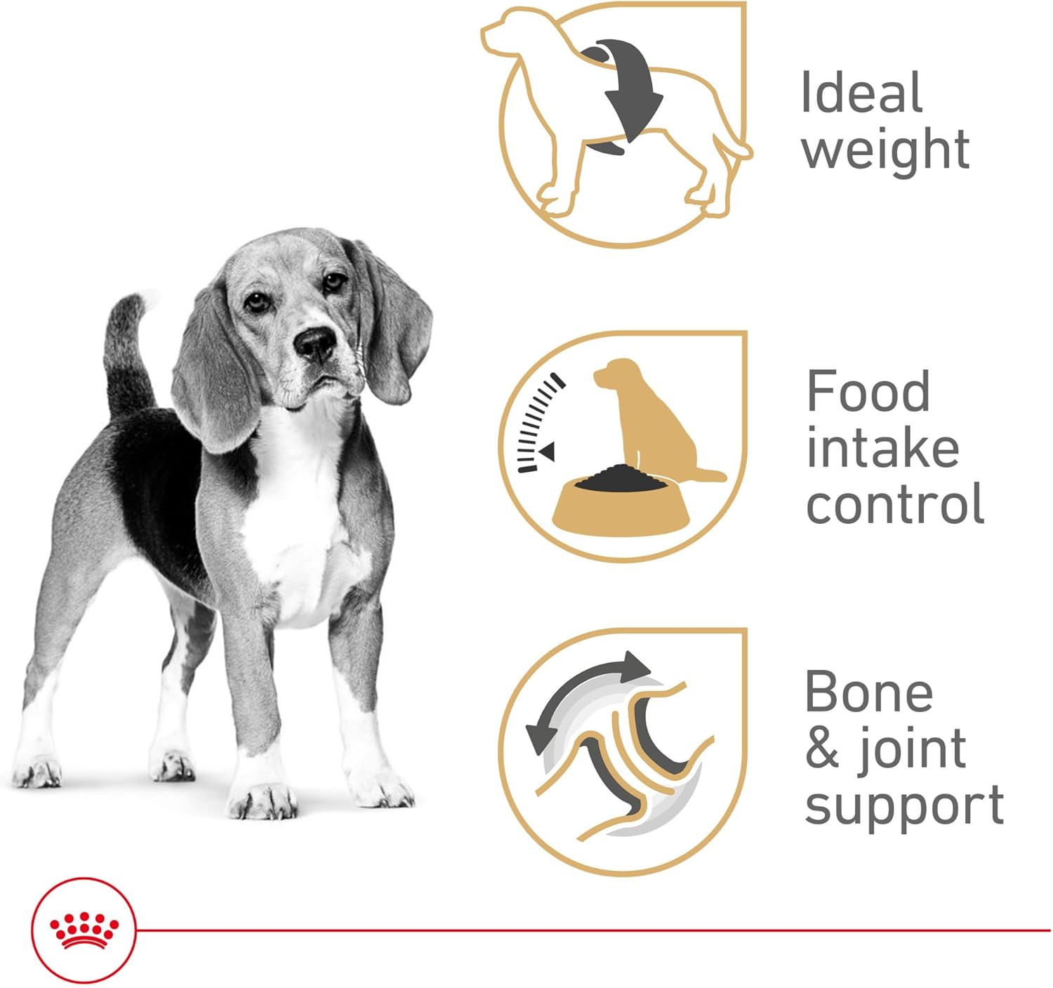 Royal Canin Breed Health Nutrition Beagle Adult Dry Dog Food, 30 lb Bag