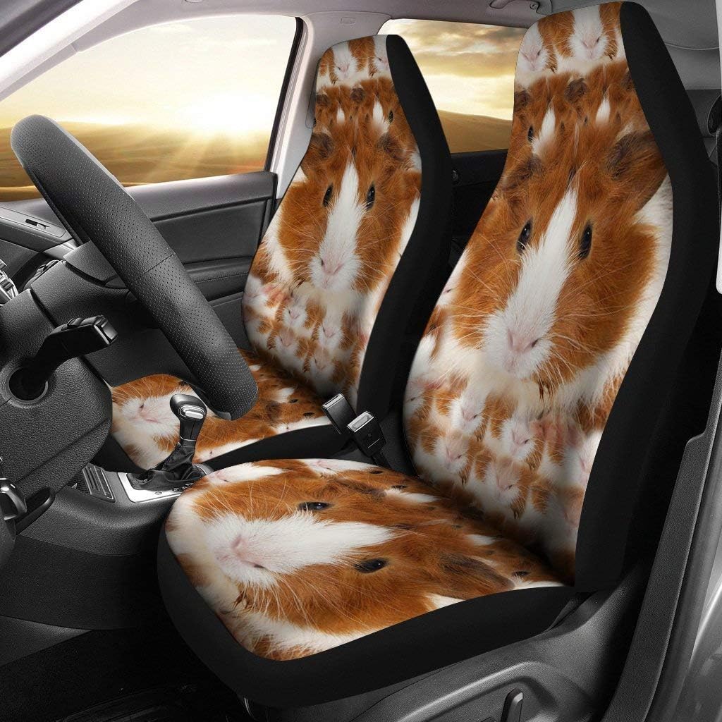 Abyssinian Guinea Pig Print Car Seat Covers
