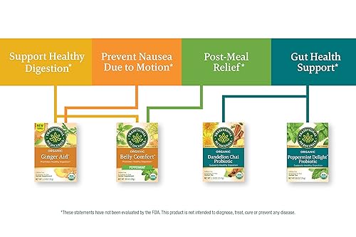 Vista 24 de Traditional Medicinals Té orgánico de jengibre, promueve la digestión saludable, 16 bolsas de té