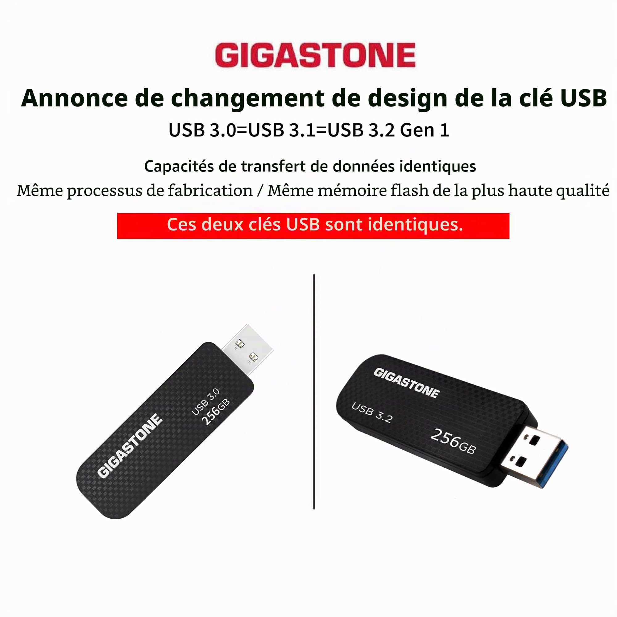 GIGASTONE 256Go Clé USB, Z30 USB 3.2 Gen 1, 100Mo/s Ultra Rapide, Boucle Porte-clés, Design Coulissant, Stockage et Sauvegarde pour PC/Mac/TV/Voiture, USB 2.0/3.0/3.1 Compatible