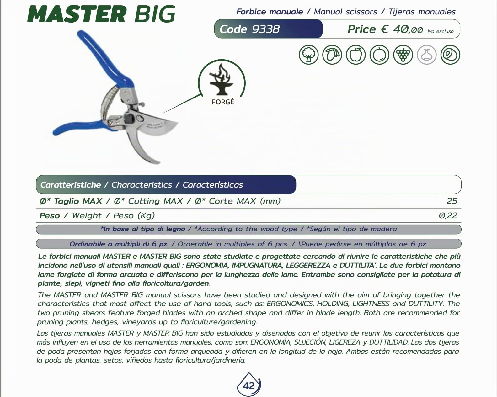 PATERLINI Ciseaux de Sécateur de Jardin - Ciseaux d’élagage tranchants - Cisailles de jardinage faciles à élaguer - Outils de jardinage professionnels - Ciseaux d’élagage (Master BIG)