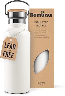 Insulated Water Bottle 16 oz, White Water Bottle BPA Free, Stainless Steel Water Bottle, Travel Water Bottle with Handle, Metal Water Bottle Stainless Steel – Polar White