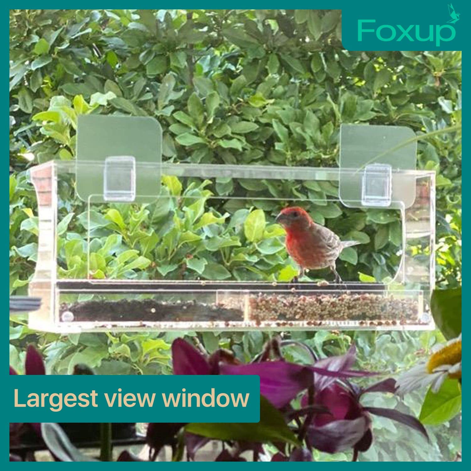Window Bird Feeder with Removable Seed Tray and Super Strong Sticker