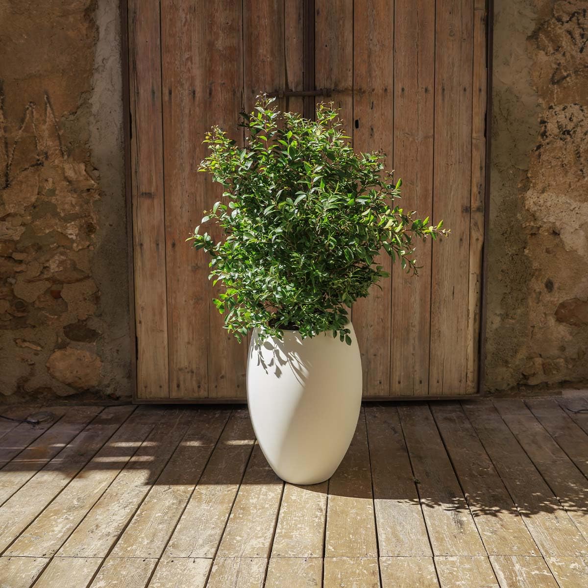 newgarden Aloe 45 macetero Redondo Exterior e Interior Beige, Maceta Grande Alta de Polietileno Resistente a Rayos UV, Ø44 x 60 cm, 60 litros