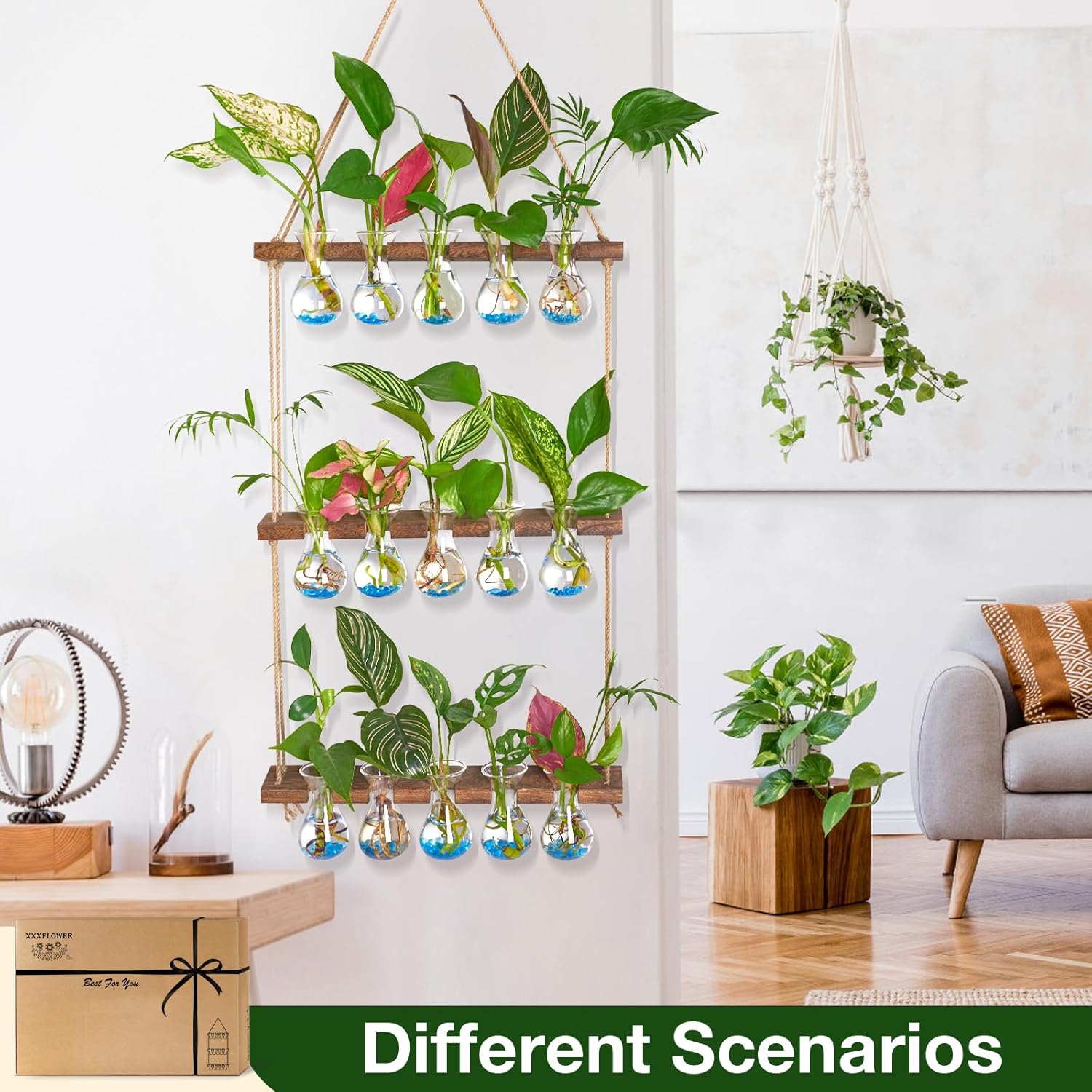XXXFLOWER Wall Hanging Propagation Station with Wooden Stand 5 Bulb Vase 3 Tiers Planters+Flower Vases Accessories-3 Bulb Vase