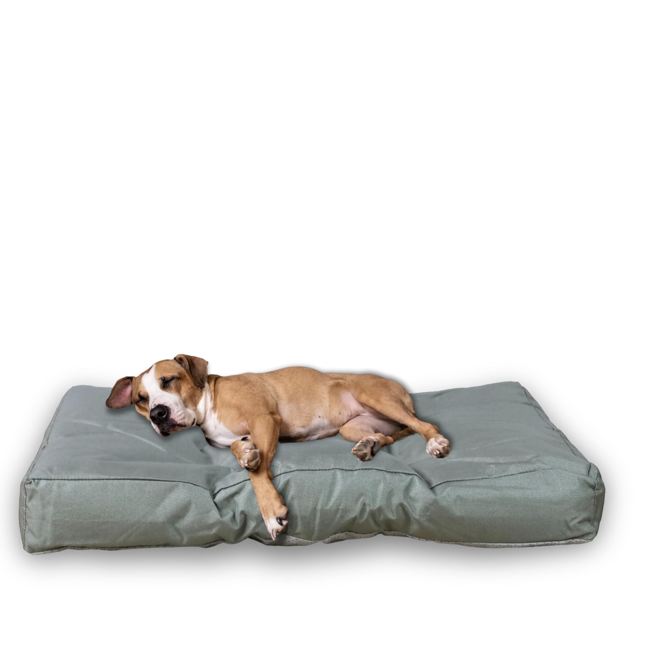 glutenfrei hundefutter LandFleisch Dog Trocken Senior Geflgel mit Reis