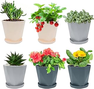 Sponsored Ad - Murezuer Flower Plant Pots, 6 Pack 5" Plastic Plant Pots with Drainage Holes and Saucers, Flower Pots for I...