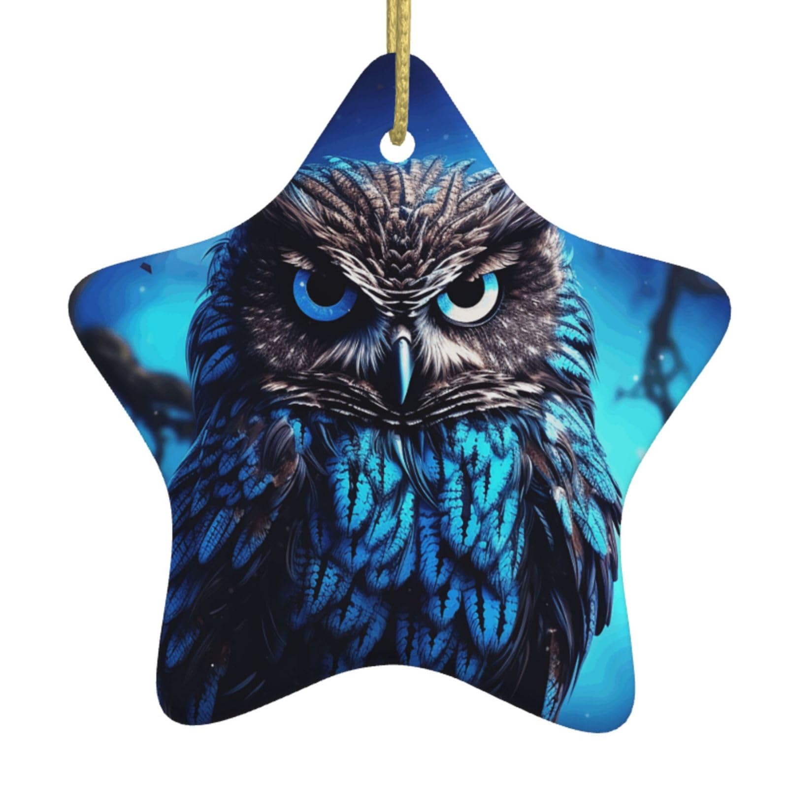 Fodpand Women's White Blue Owl Christmas Ornaments 2025, Gift Exchange For Men, Collectible Ceramic Ornament Star Hanging Ornaments For Christmas Tree Decoration