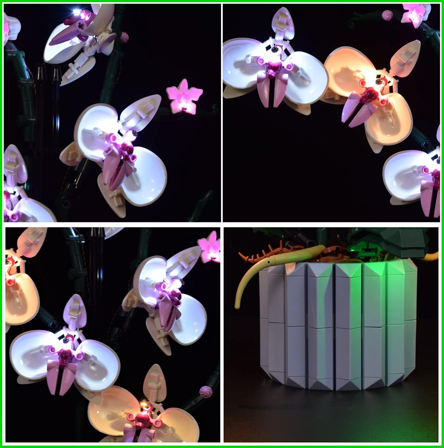LightGo LED Lighting Kit with Battery Box Designed for Lego 10311 Orchid Flowers Building Set - Not Include Model (Classic Version)