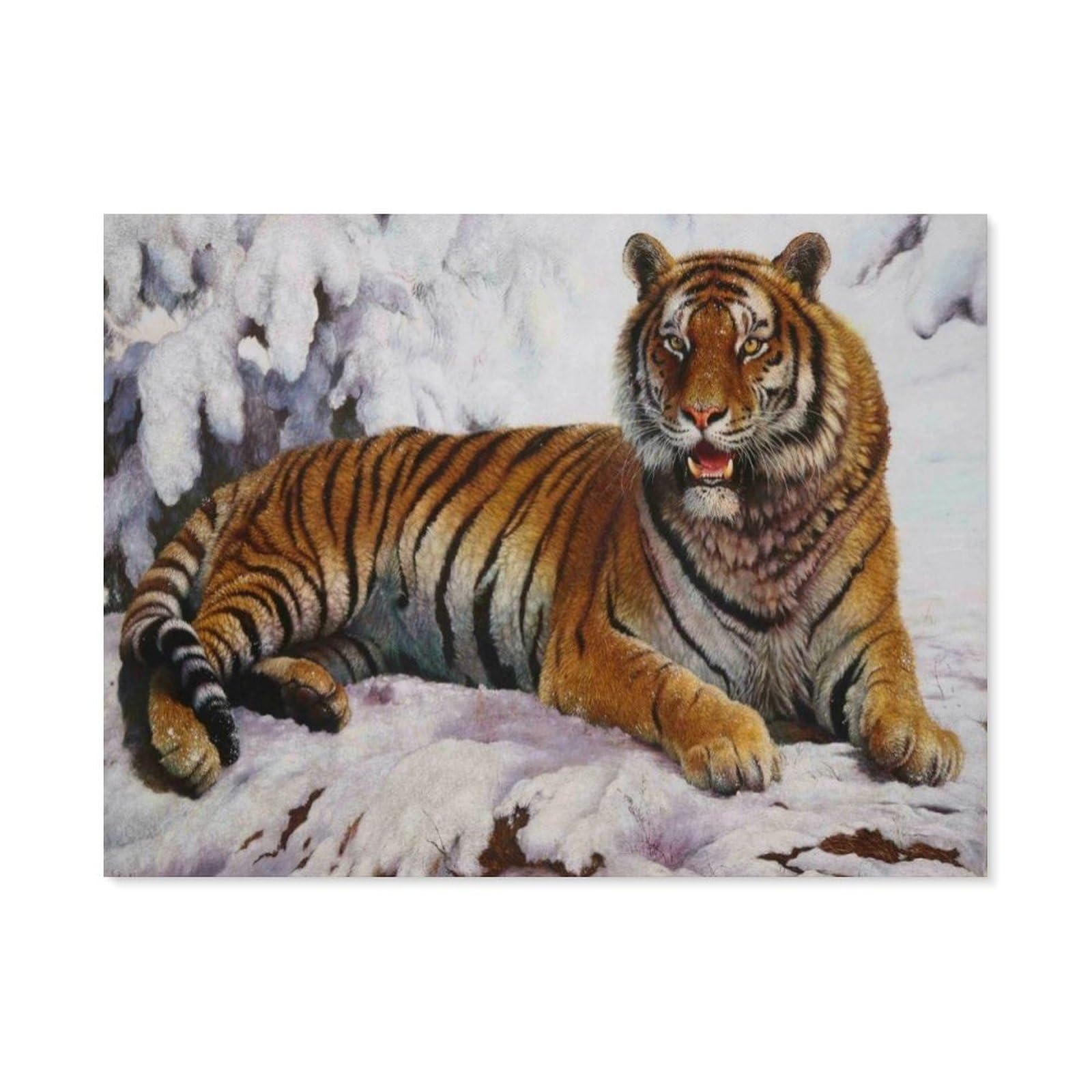 BEAYODKP Paint by Numbers，Snow Tiger，DIY Paint by Numbers Kits for Adults Kids,Canvas Oil Painting with Brushes and Acrylic Pigment Paint by Numbers Arts Craft for Home Wall Decor(50x60cm) -J44