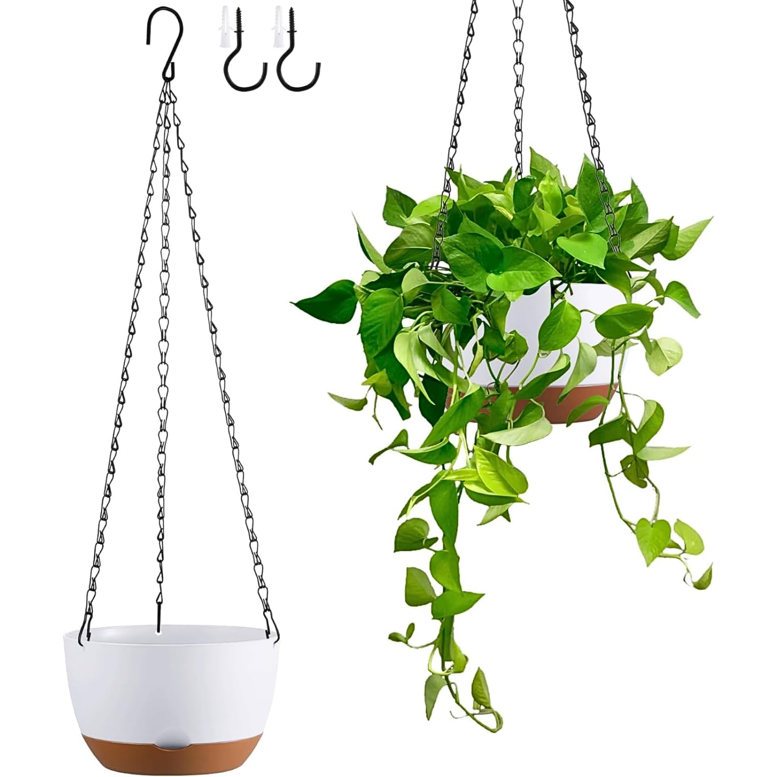 Kvetto Hanging Planters