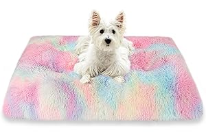 Patas Lague Soft Colorful Dog Bed for Small Pets
