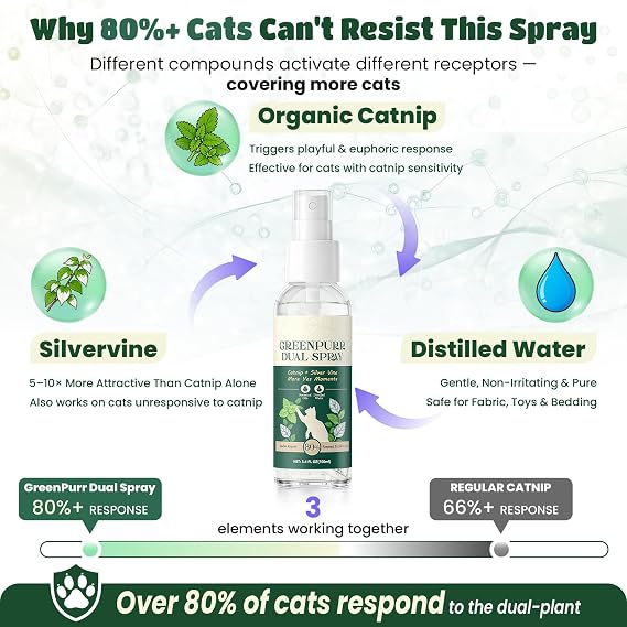 Kiddix Catnip Spray for Cats 3.4 fl oz | Cat Nip Spray with Natural Dual-Plant Silvervine Formula, Relieve Stress and Refresh Scratching Post & Toys, Mess-Free