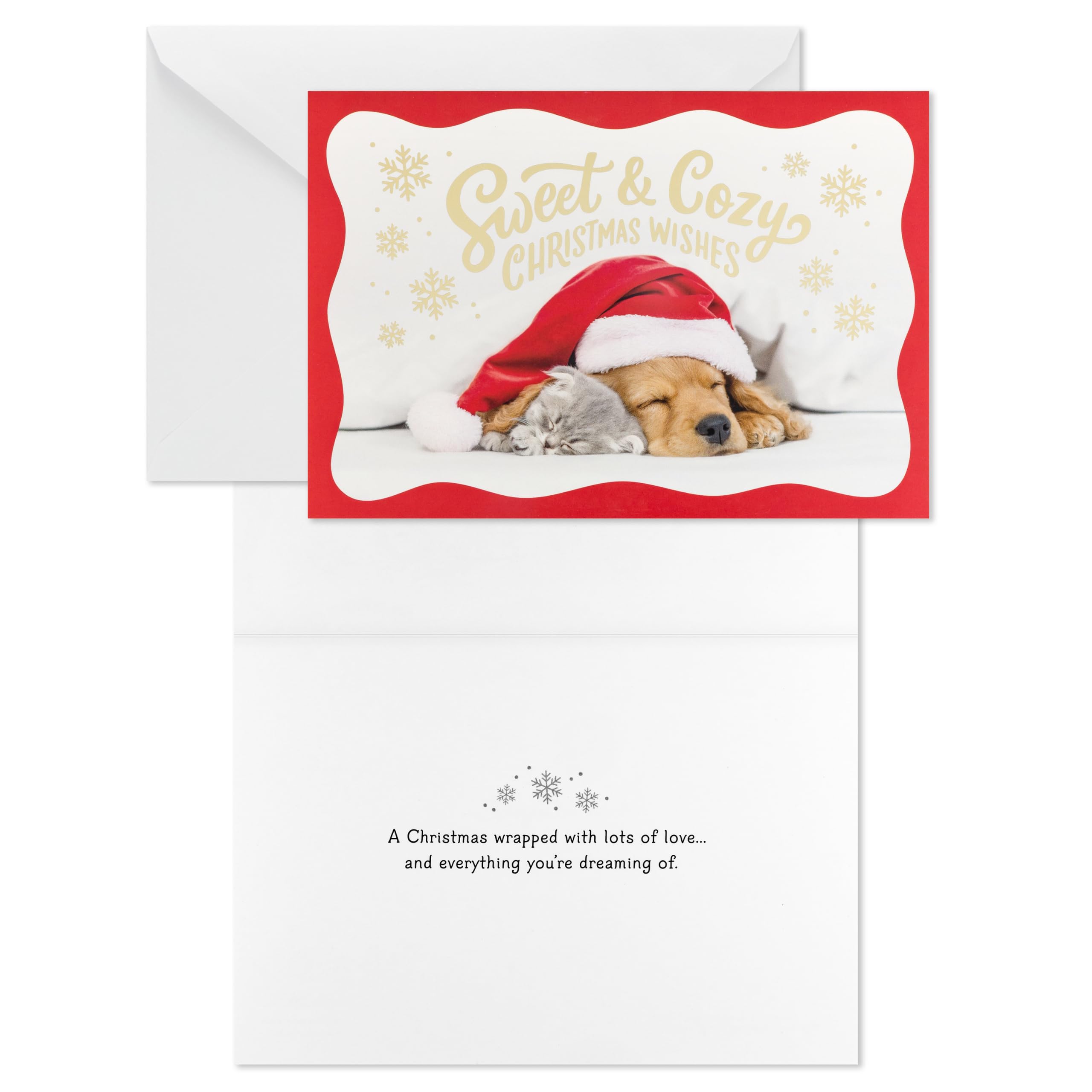 Hallmark Tarjetas de Navidad, paquete de 40 (dulce y acogedor, cachorro, gatito)