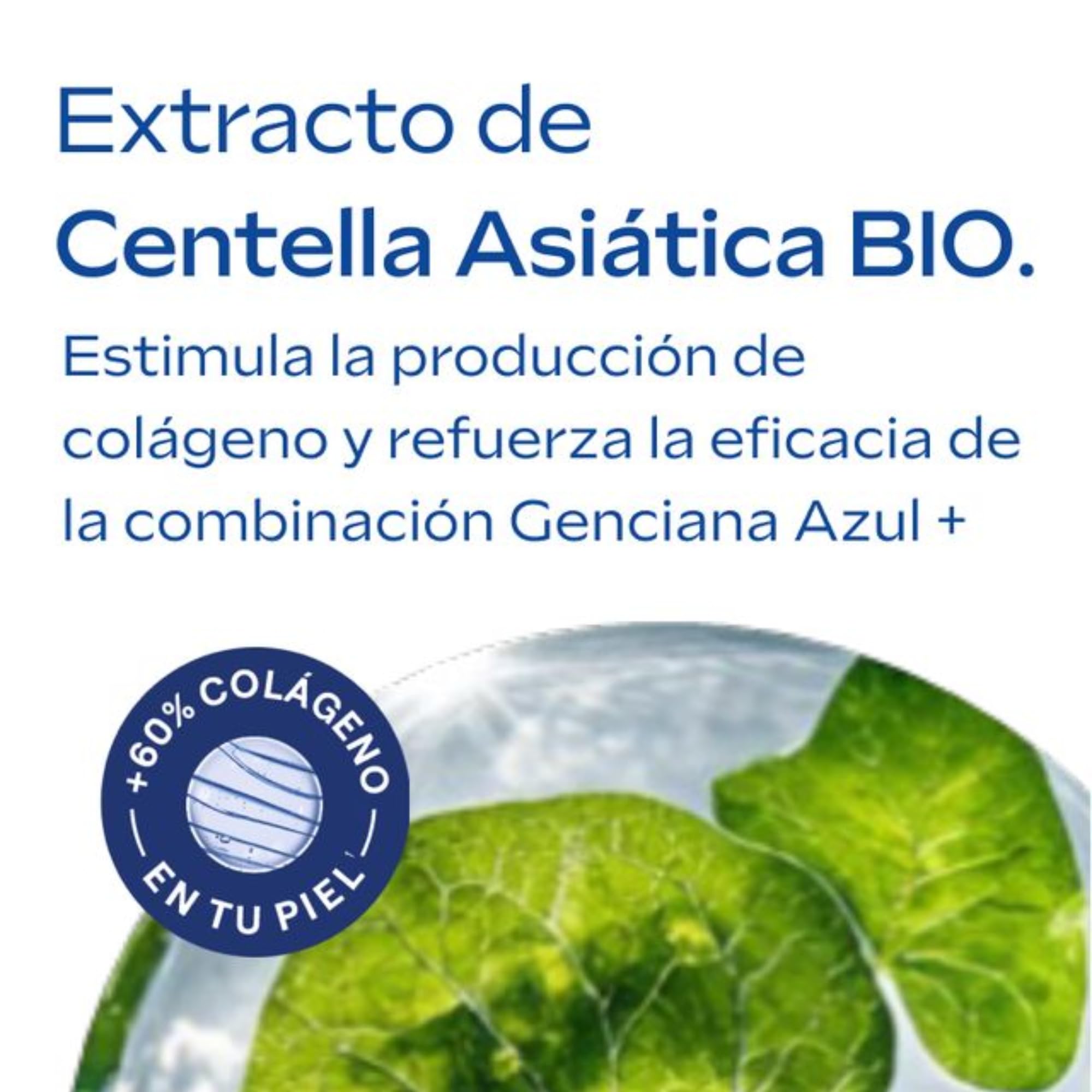Weleda - Contorno de Ojos y Labios Antiedad Genciana 10 ml | Genciana azul, edelweiss, antiedad, reduce arrugas, ojeras, bolsas, reafirma, pieles maduras, vegana, contorno