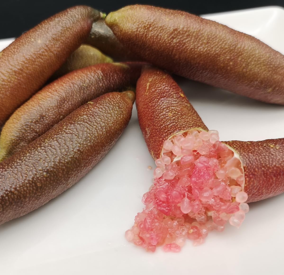 Graines de citron caviar Jali Red - 12 pépins de Microcitrus pour agrumes en pot