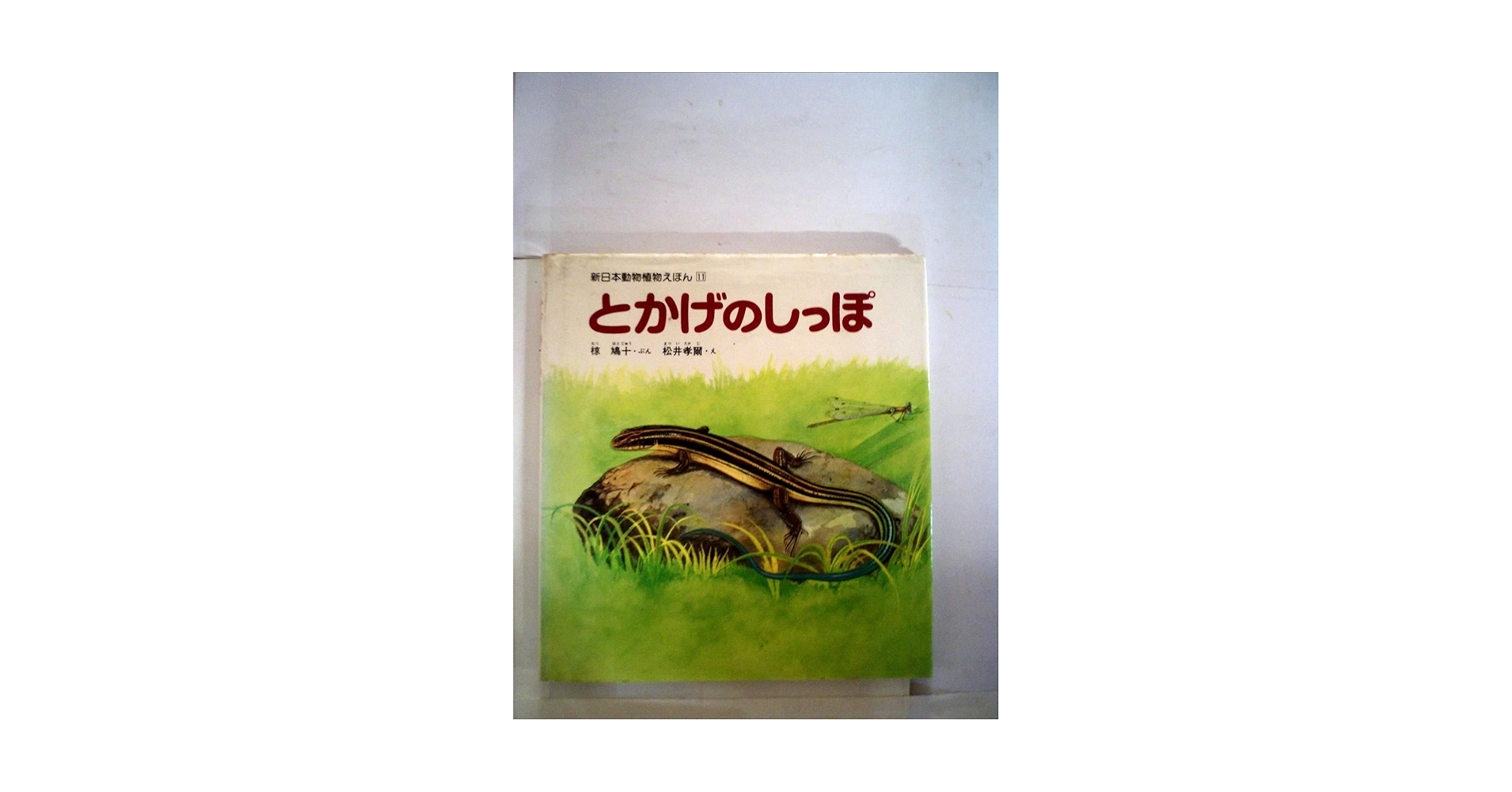 【希少】とかげのしっぽ （新日本動物植物えほん） / 椋 鳩十他 とかげのしっぽ (新日本動物植物えほん 11) | 椋 鳩十, 松井 孝