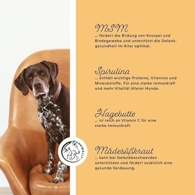 Foto 4 de 7 de Annimally Senior Vital 120 Comprimidos Articulares para Perros con MSM, Jengibre, Incienso, Spirulina