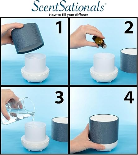 Miniatura 5 de Scentsationals Difusor ecléctico  Aceites esenciales perfumados  Usuario de aroma de aromaterapia clásica  Fragancia eléctrica para el hogar