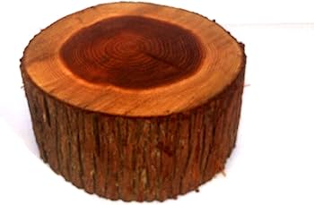 Amazon.co.jp: デルフリキャンプ 切り株作業台 直径23㎝・高さ10 Amazon.co.jp: デルフリキャンプ 切り株作業台 直径23㎝・高さ10