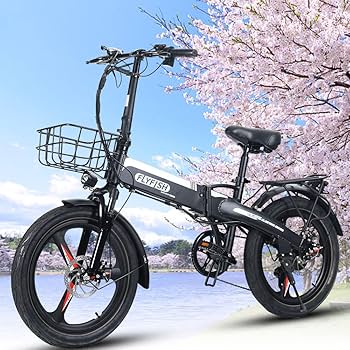 動作品 FLYFISH 折り畳み 電動アシスト自転車 走行379km 20インチ FLYFISH 20インチ アシスト自転車 免許不要 電動アシスト自転車