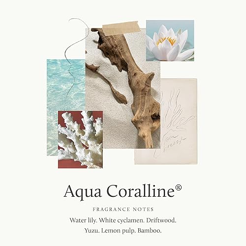 Miniatura 2 de Thymes Aqua Coralline - Aceite difusor de varillas – Aceite de fragancia para habitación – Fragancia para el hogar sin llama, 7.75 onzas líquidas
