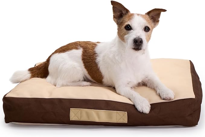 Cama Ortopédica para Perros Pequeña con Espuma Viscoelástica