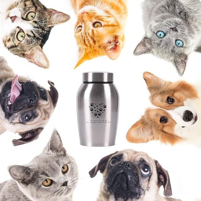 Foto 7 de 7 de Urnas de cremación para Mascotas, urnas para Mascotas para Perros y Gatos