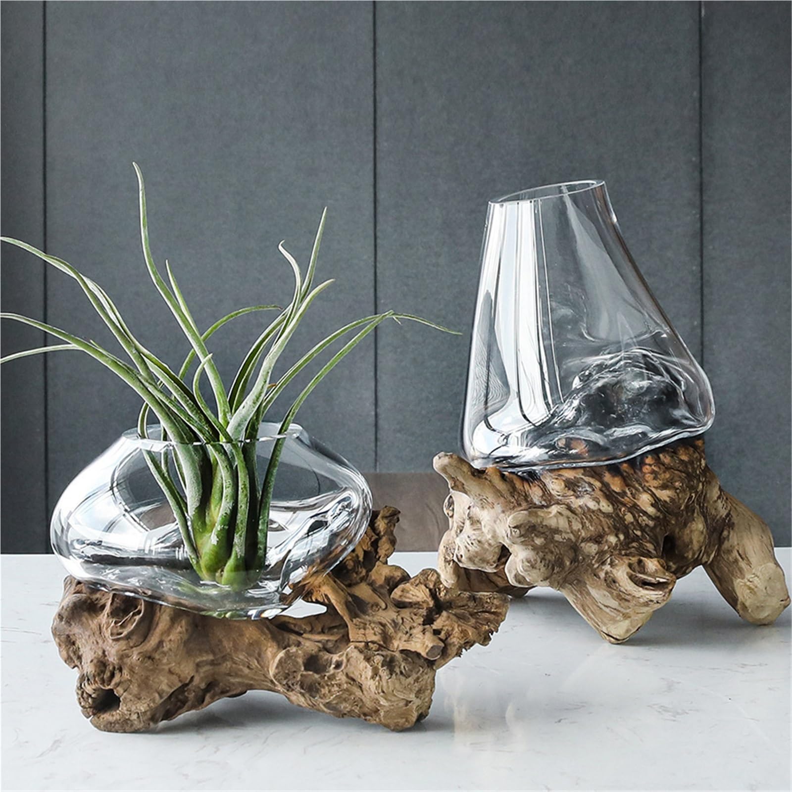 Vase Hydroponique Verre Vase à bonsaï en Verre, Support Bois Mort, Pots de Plantation hydroponiques, Pot Fleurs, Cadre d'art, Terrarium, Accessoires décoration for la Maison(Size C)