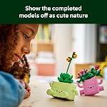 LEGO Botanicals Rocking Plants - Building Toy for Kids, Girls & Boys, Ages 9+ - Decor for Dorm Desk or Shelf - Housewarming Gift Ideas - 11506