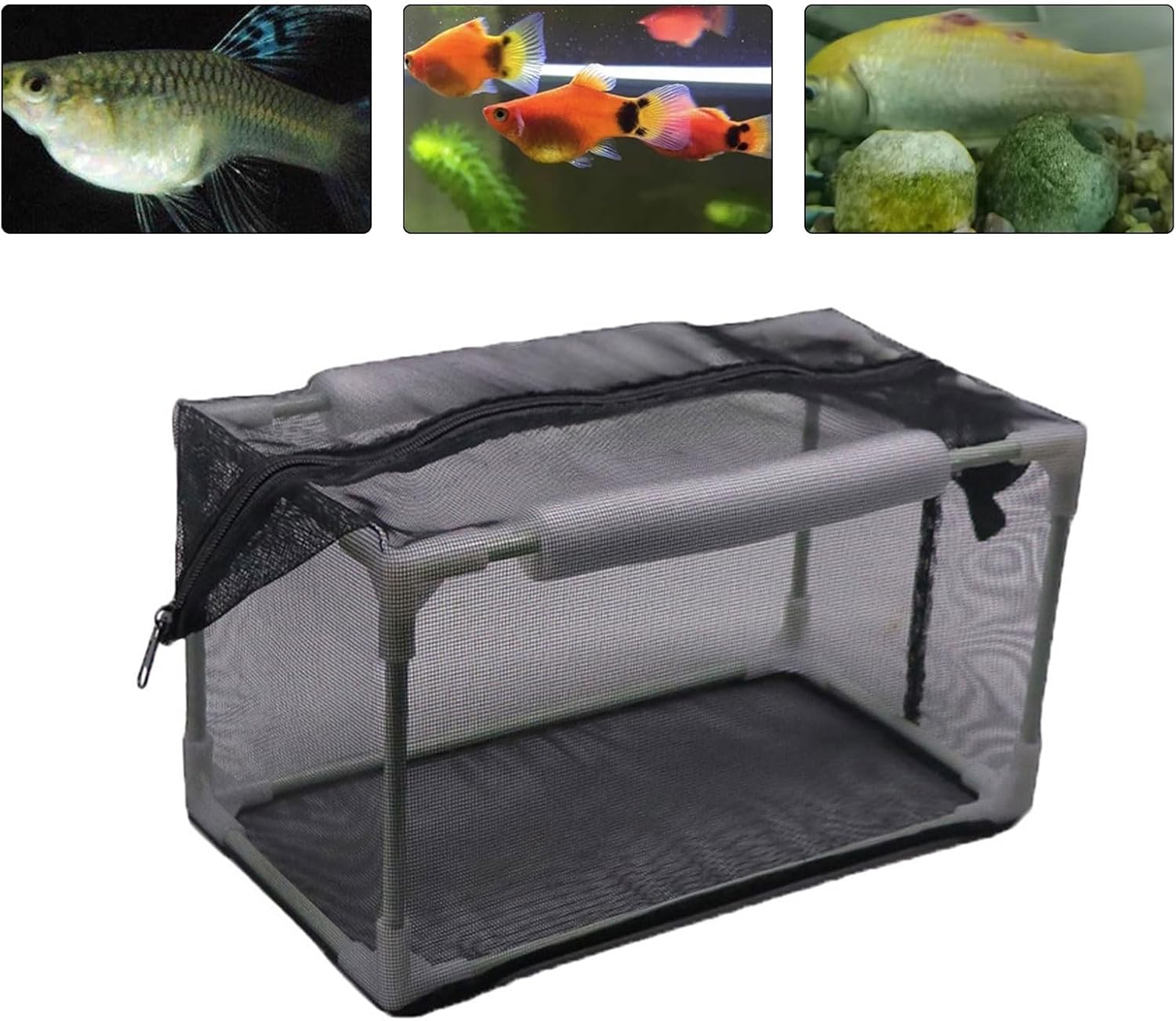 Fish Breeding Box Clear Isolation Box Aquarium Hatchery Incubator for Newborns Shrimp Removable Partition Fish Breeding Station