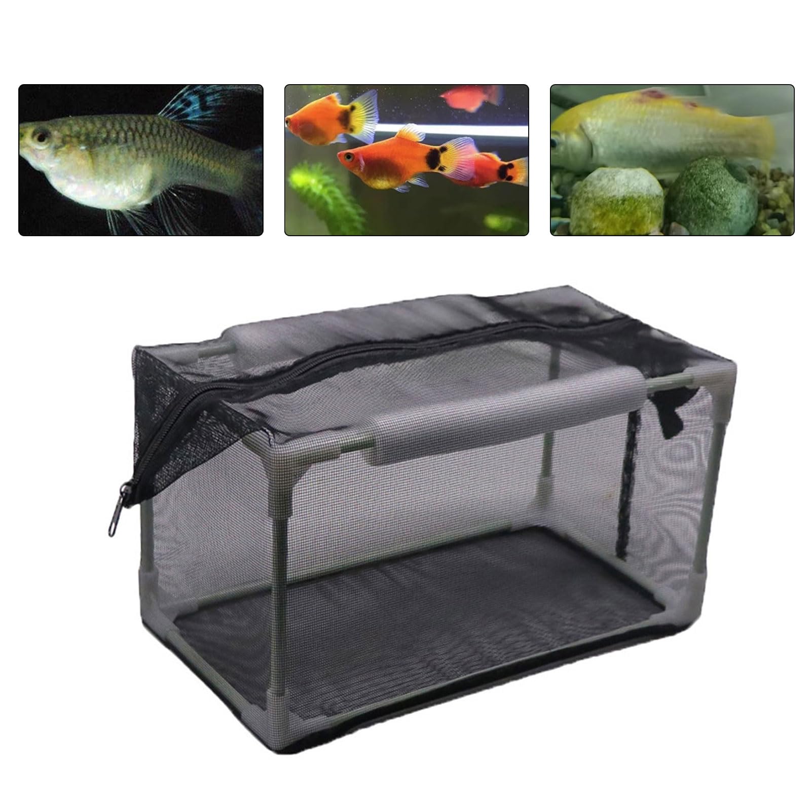 Tanques de Aislamiento de Acuario para cría y eclosión de Peces y camarones para aislar Huevos Enfermos o para incubar Contenedor de cría Flotante