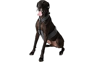 Dog Cooling Vest and Cooling Collar - Get Your Pup Cool and Comfy!